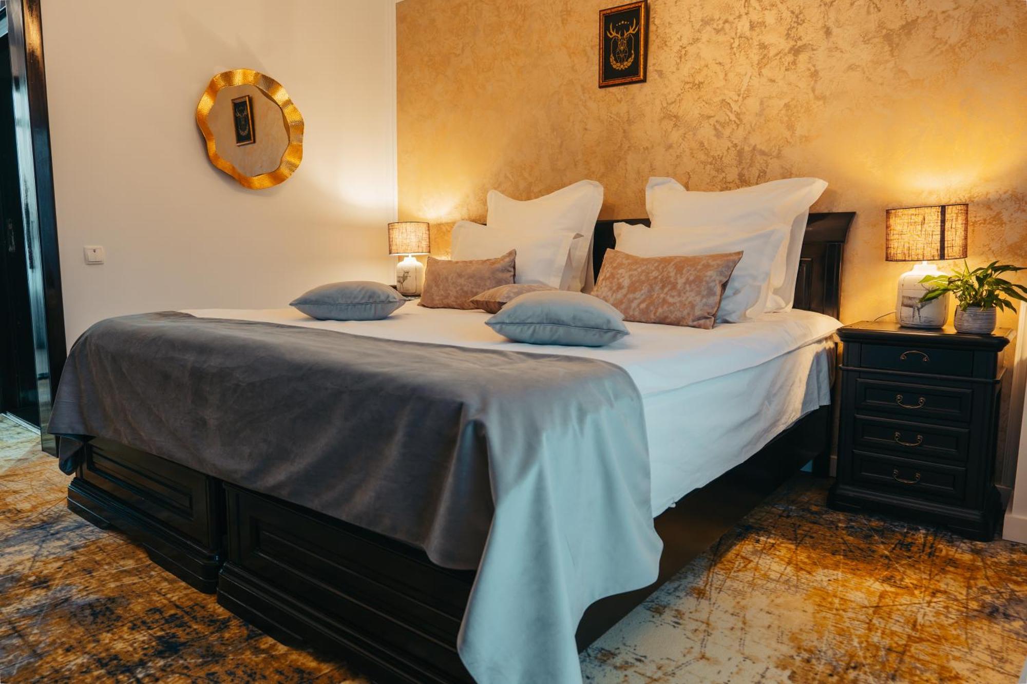 Curtea Domneasca Hotel Vaslui Ngoại thất bức ảnh